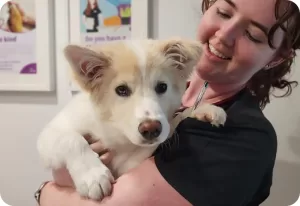 Parasite-Prevention - The Vet Lounge