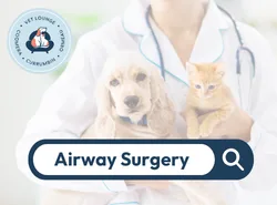 Airway Surgery Airway surgery button
