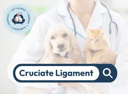 Cruciate Ligament Cruciate Ligament button