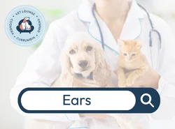 Ears Ears button