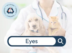 Eyes Button for eyes