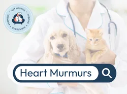 Heart Murmurs heart murmurs button