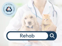 Rehab canine rehab