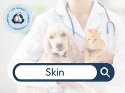 Skin Skin button