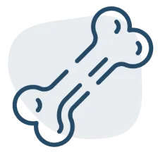 Orthopaedic Image ortho image